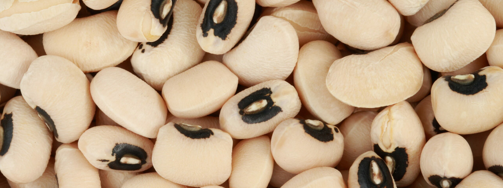 A imagem mostra feijão fradinho cru